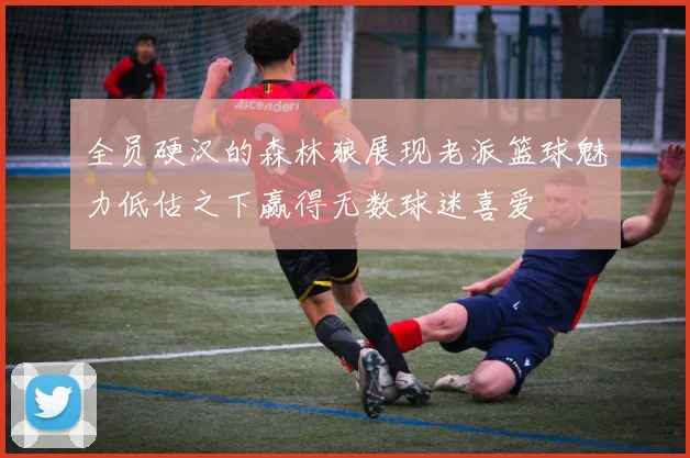 全员硬汉的森林狼展现老派篮球魅力低估之下赢得无数球迷喜爱